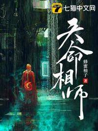 天命相师在线阅读