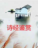 诗经解读小说在线阅读