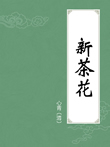 新茶花小说在线阅读