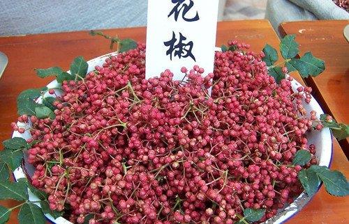 如何识别有毒花椒？毒花椒的鉴别方法