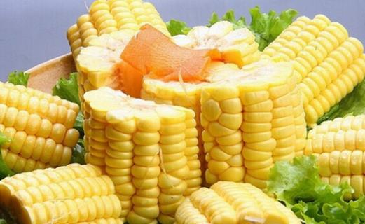 盘点玉米的营养价值和药用价值