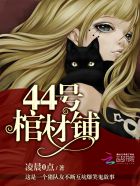 44号棺材铺小说在线阅读