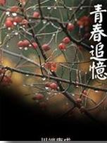 青春追忆小说在线阅读