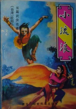 小流浪小说在线阅读
