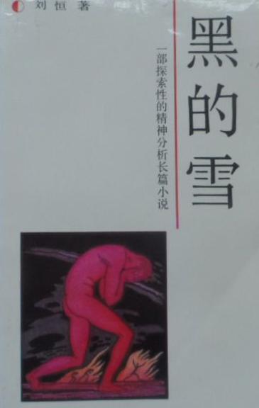 黑的雪小说在线阅读