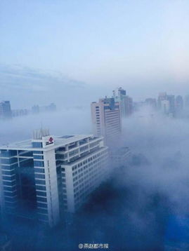 白雾小说在线阅读