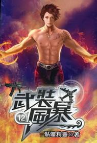 武装风暴小说在线阅读