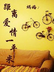蜗婚:距离爱情1平米在线阅读