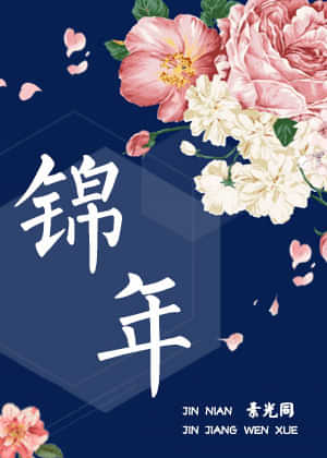 锦年小说在线阅读
