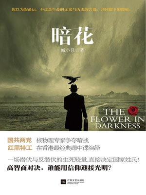 暗花(特别行动)在线阅读