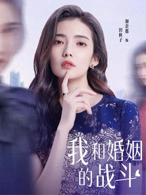 我和婚姻的战斗(婚内婚外)在线阅读